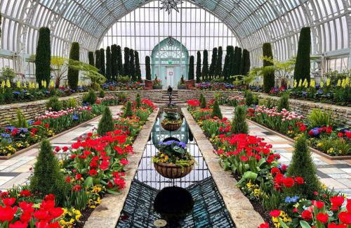 Enchanting and comfy urban cottage with renovated rustic den by Como Park & MN State Fair - Foto 34