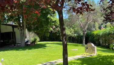 Villa Diomedes - Foto 5