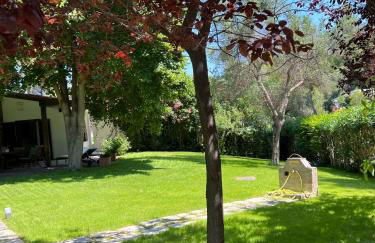 Villa Diomedes - Foto 5