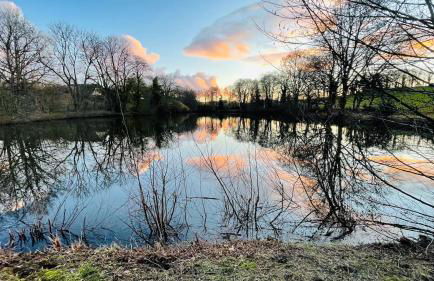 La maison d'Apolline - Photo 9