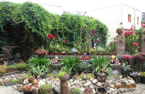 Zentrale-ruhige Ferienwohnung - Foto 28