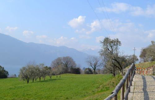 La cascina della vigna del viandante - Foto 35