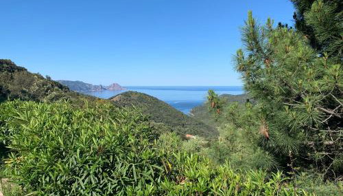 Les Asphodèles - Foto 2