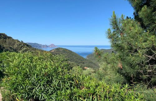 Les Asphodèles - Foto 2