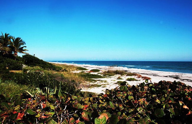 Tuckaway Shores Resort - Foto 71