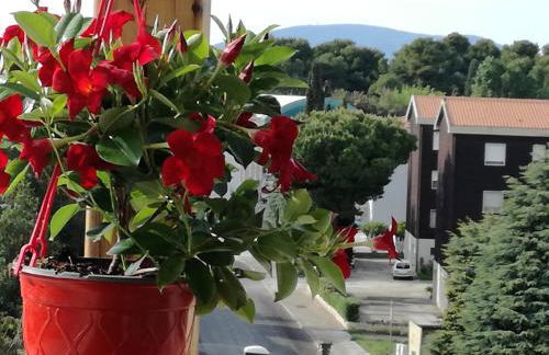 Nel blu dipinto di blu - Foto 10