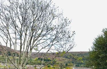 Gaen - Ty Seren - Foto 22