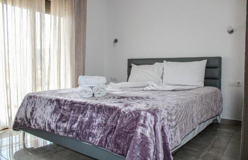 Theano Studios - Foto 3