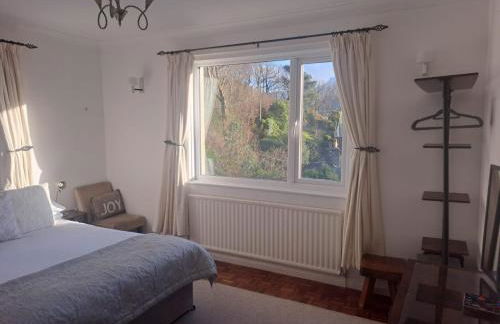 Snowdonia Mawddach escape - Foto 49