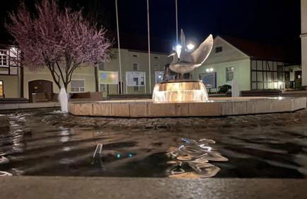 Ferienhaus in Arendsee mit direkter Seenähe - Foto 15