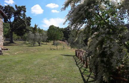 Casolare Giovangrande - Foto 46