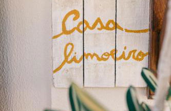 Tree House - Casa Limoeiro - Foto 5