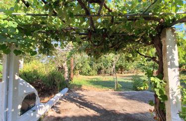 A Sense of Calm & Relaxation - Foto 32