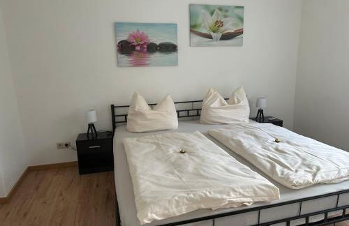 Ferienwohnungen Medikus - Foto 6