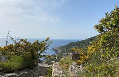 Il Trullo di Funnuvojere - Foto 10
