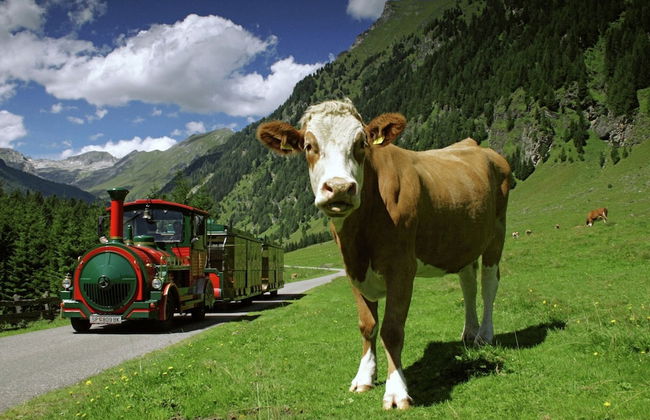 Holiday Home in Rennweg Near Ski Slopes - Photo 32