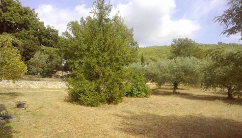 Gite au calme en campagne - Foto 2