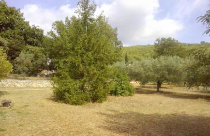 Gite au calme en campagne - Foto 2