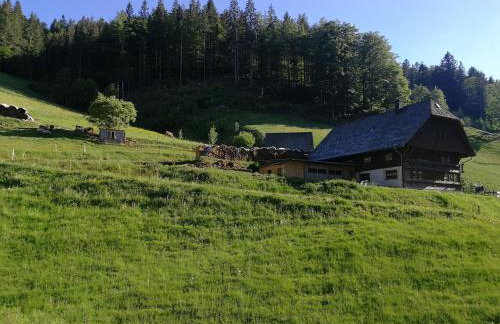 Ferienwohnung Glashütte - Foto 3
