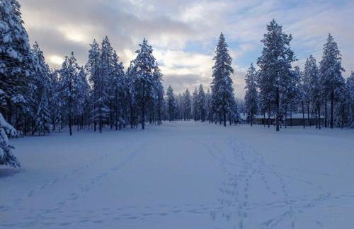 Studio on the Fairway Chewelah Golf Course - Foto 21