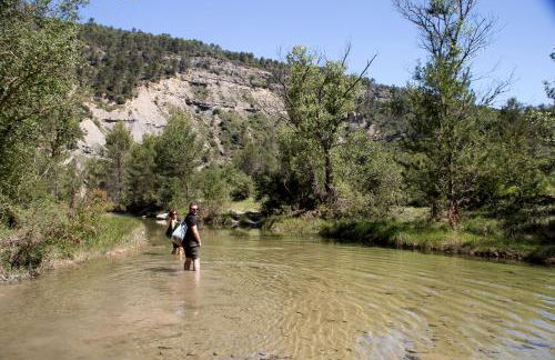 Casa El Pelaire - Foto 7