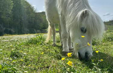 Agriturismo La Vita è Bella - Foto 2