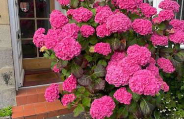 Kelvinside, Seahouses, 2 minute walk into village - Foto 23