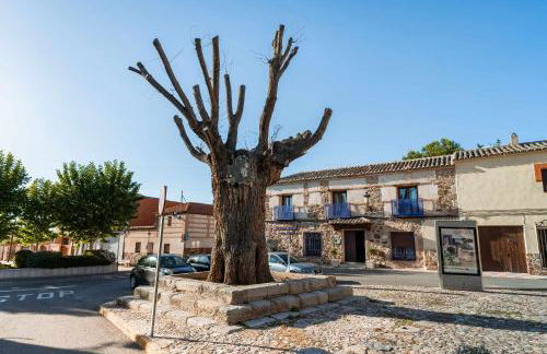 Casa Rural Álamo Grande - Foto 1