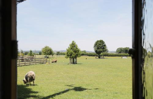 Rose Cottage - Foto 11