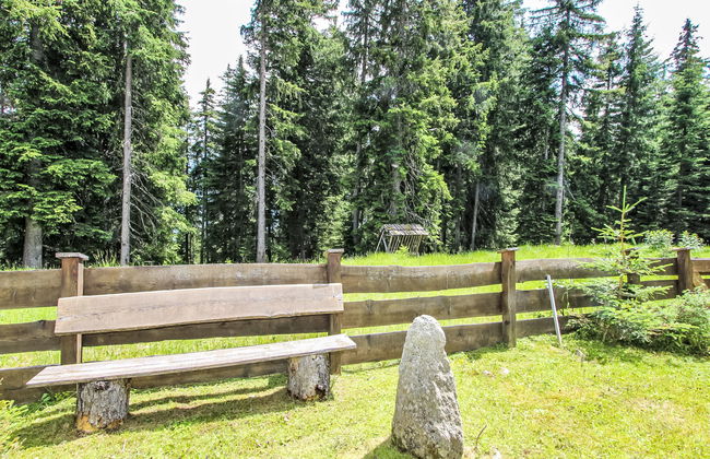 Hochkrimml - Foto 41