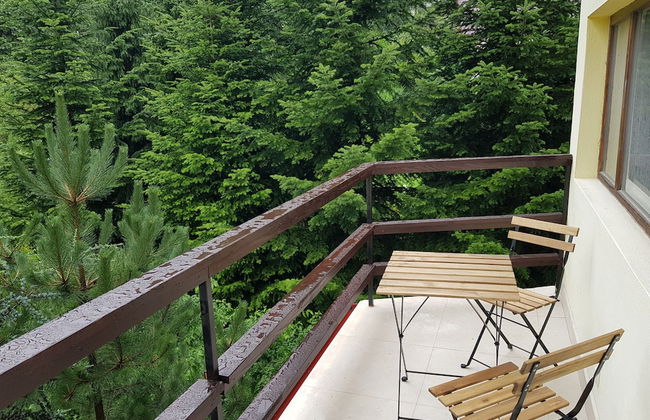 Olala Forest Apartments - Foto 8