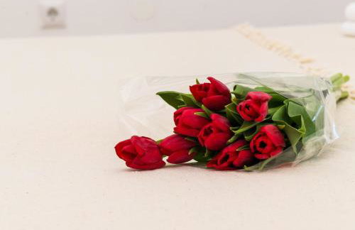 Apartment Amabilis - One Bedroom Apartment with Terrace and City View - Foto 25