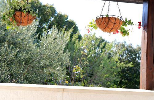 Apartment Vincent with beautiful sea view terrace - Foto 37