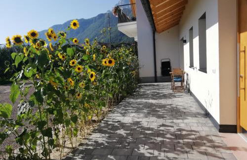 Gisshübelhof - Foto 14