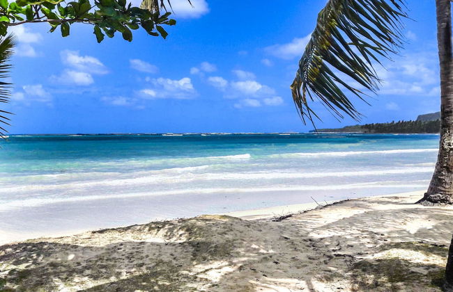 El Pelicano Apart-Hotel - Foto 68