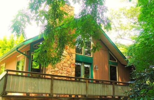 Riverfront Cabin Rental with a Private Beach on Youghiogheny River near Pittsburgh, Pennsylvania - Foto 1