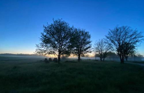 Holiday Home in Loubigne With Pool & Terrace - Foto 49