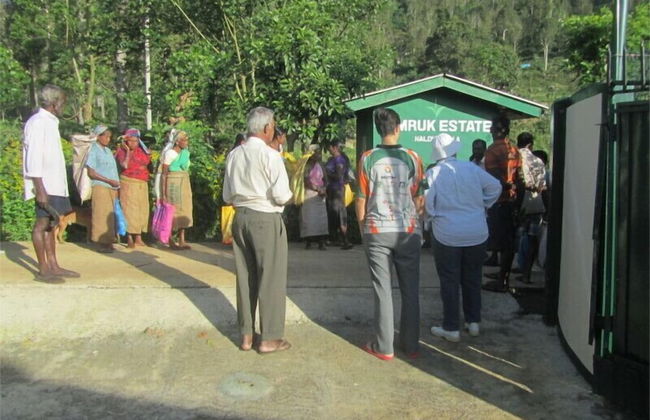 Royal Eco Resort - Photo 18