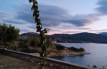 sparton amfilohias παραθαλάσσιο εξοχικό Filoxenia - Foto 51