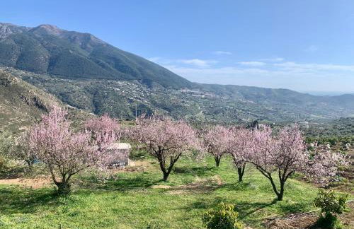 3 bedroom holiday home Alcaucin with private pool and mountain view - Photo 24