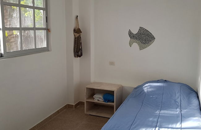 Casa de los peces - Foto 6