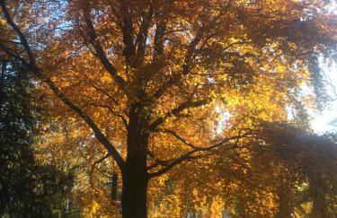 Apartment in Pempelfort - Central - Foto 25