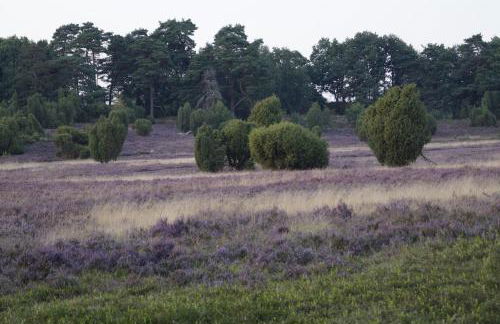 Ferienwohnungen / Ferienhaus Wahlers - Foto 41