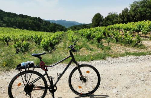 A-Ventoux Malaucène - Au pied du Ventoux - Photo 28