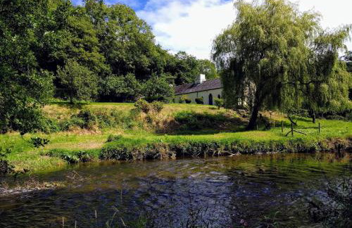 Penwaun Newport, Pembrokeshire - Foto 16