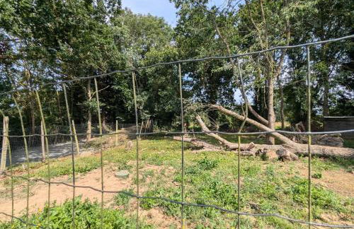 Grande maison de famille à la campagne - 10mn de la mer - Photo 42