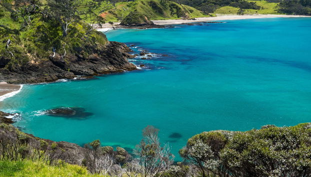Excursión a Bahía de las Islas
