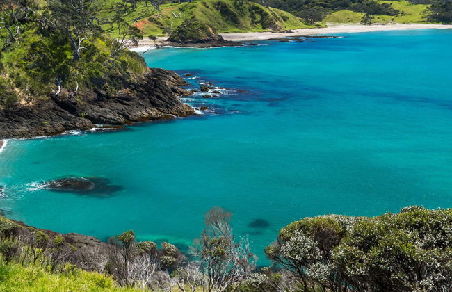 Escursione alla Bay of Islands - Foto 4