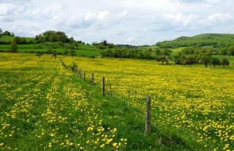 Ferienhof Zum Rössberg - Foto 16