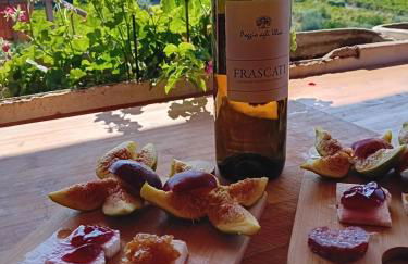 Poggio agli Ulivi vicolo di Colle Reti 22 Frascati - Foto 6